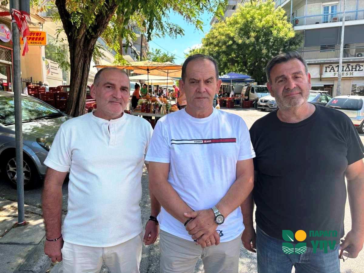 Deretzis Papadimitriou Serafimidis