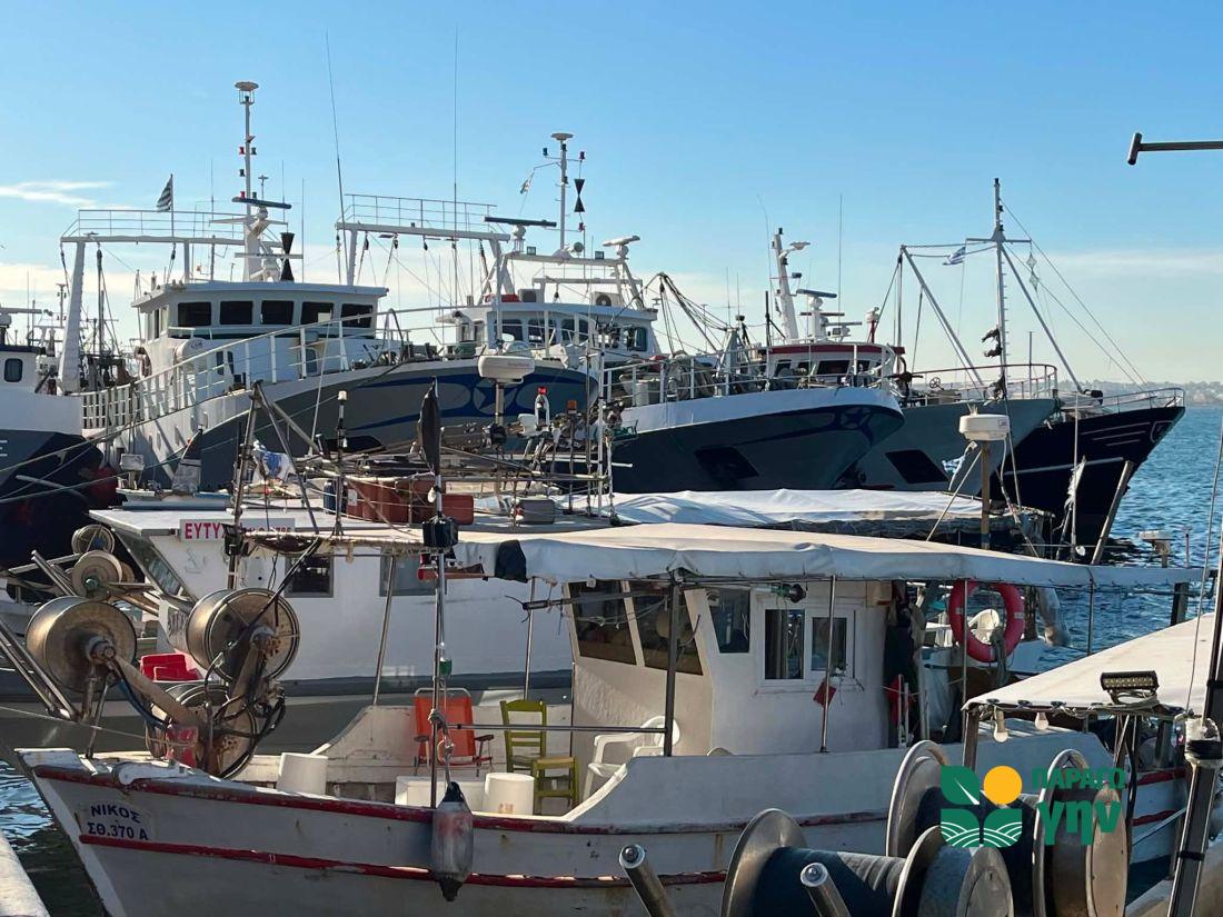 Θεσσαλονίκη αλιευτικά