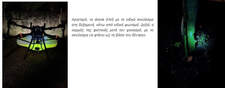 P J Condellis S.A.